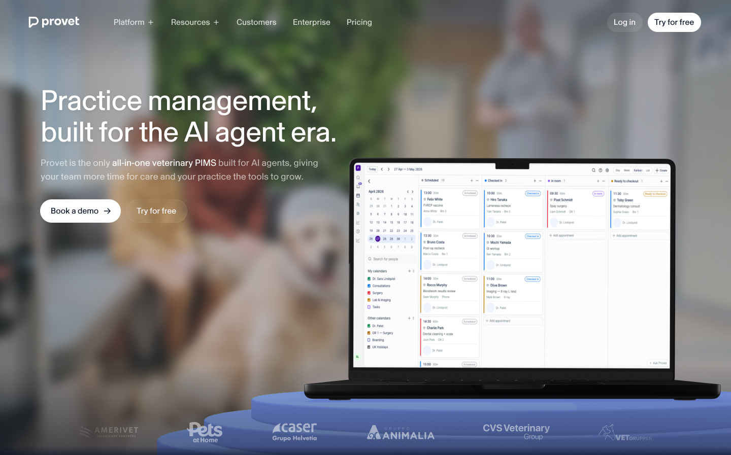 Provet website project
